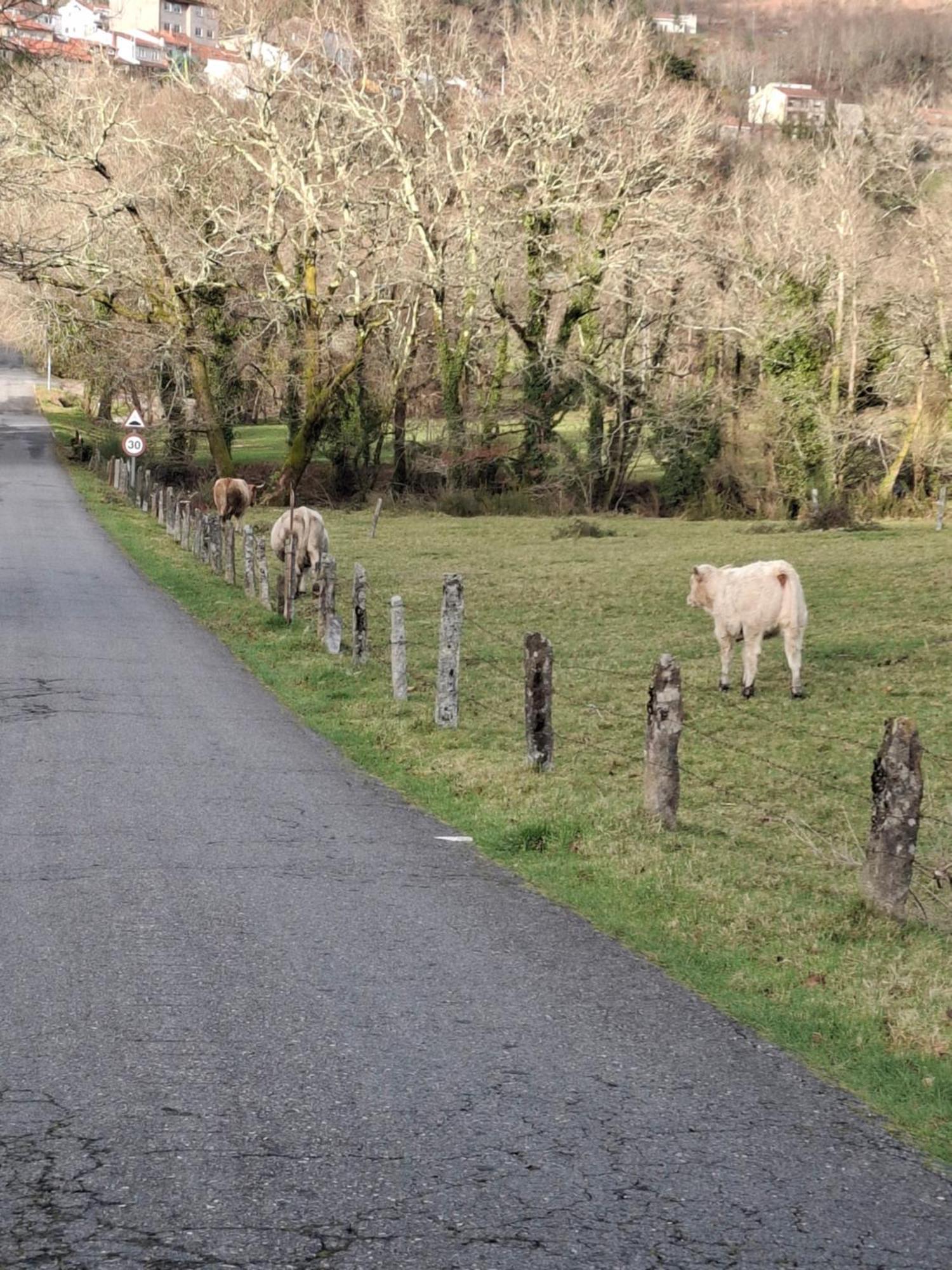 Vive Una Escapada Rural Con Alma, Cerca De Todo Y Lejos Del Ruido Pontevedra Exterior foto